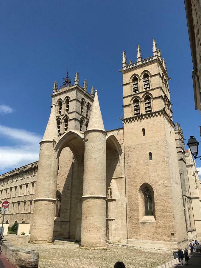 Superbe! Loft T3 -Ctre Historic- Prox. Place Comedie Montpellier Exterior photo